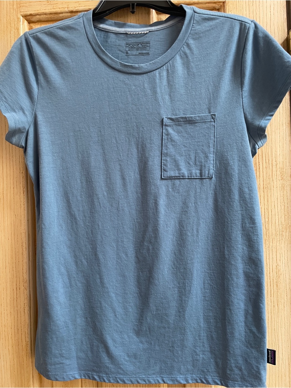 Patagonia pocket tee